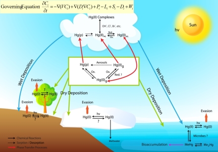 Chemical cycling of mercury in the natural environment